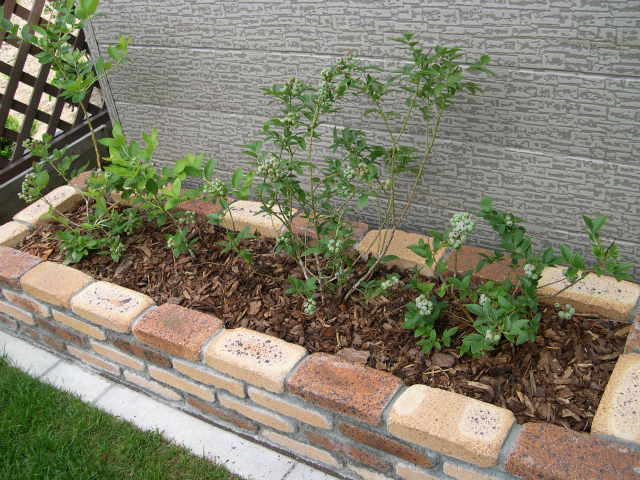 gardenbrick2